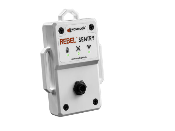 REBEL® Dataloggers