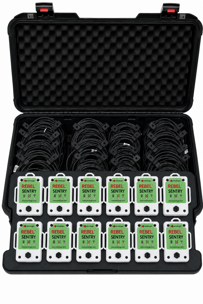 REBEL® International Professional Kit