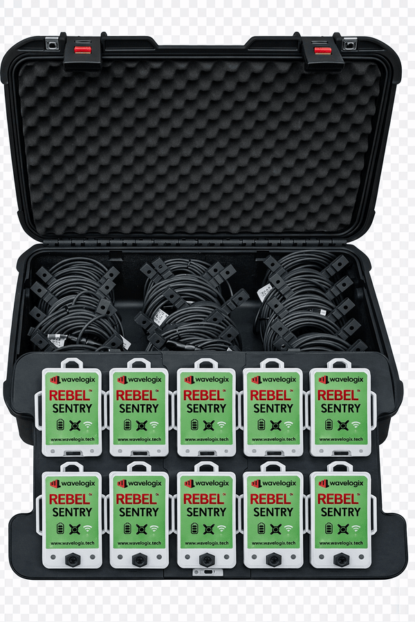 REBEL® International Professional Kit
